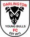 Darlington Young Bulls FC