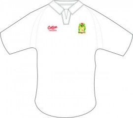 Short sleeve cricket shirt